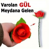 Varolan Meydana Gül